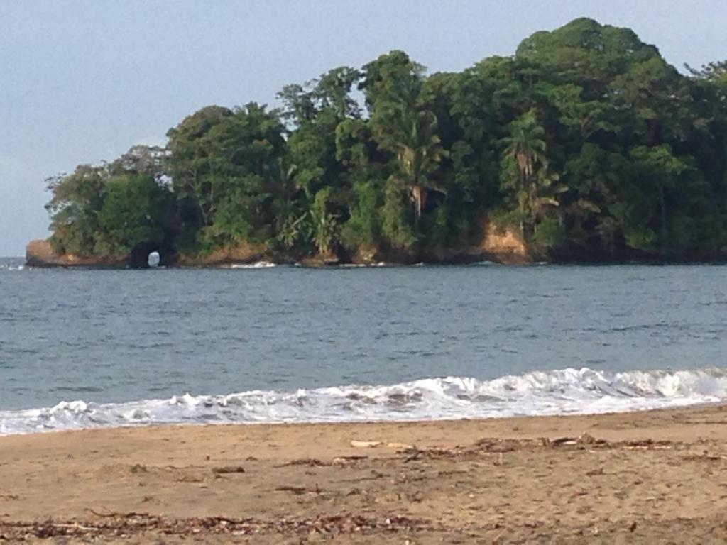 Hotel One Love Puerto Viejo Puerto Viejo de Talamanca エクステリア 写真