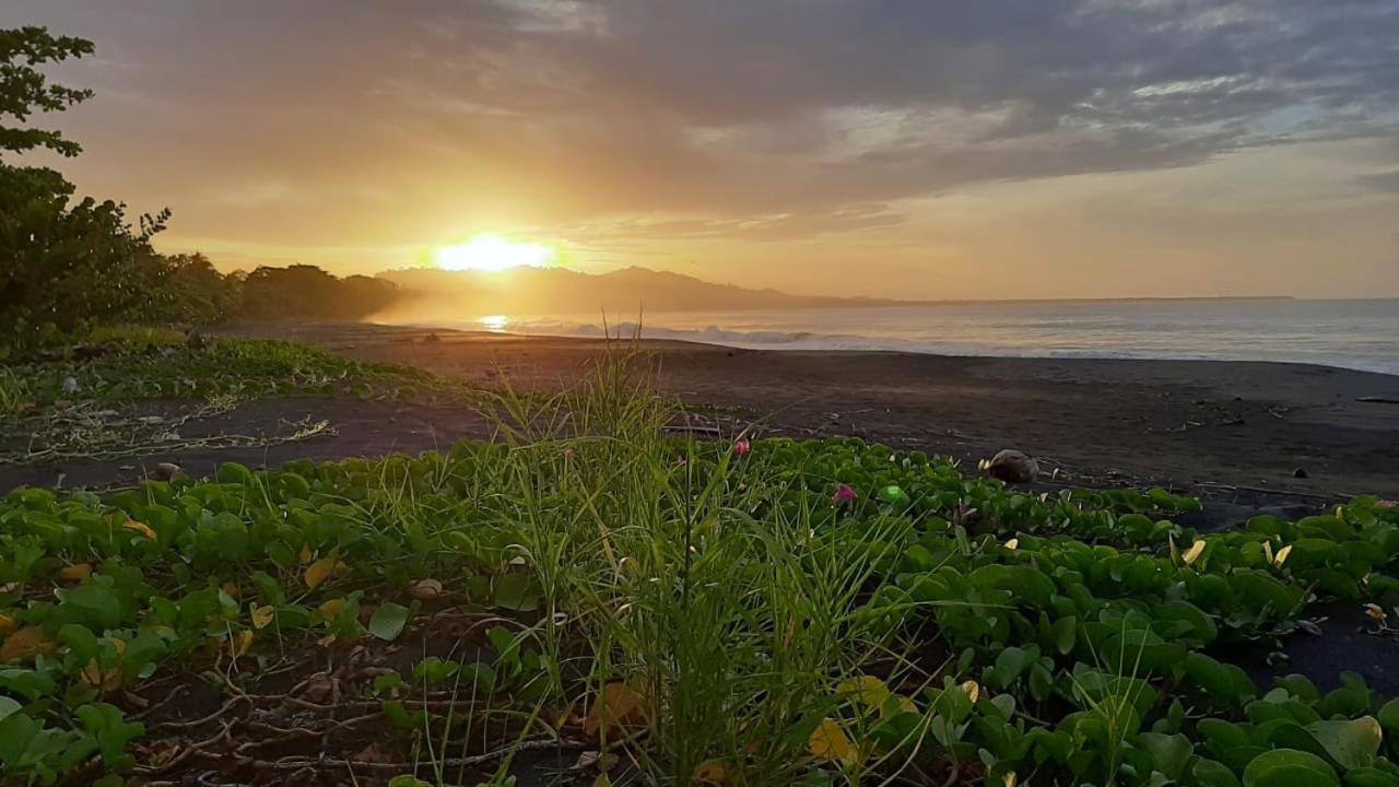 Hotel One Love Puerto Viejo Puerto Viejo de Talamanca エクステリア 写真