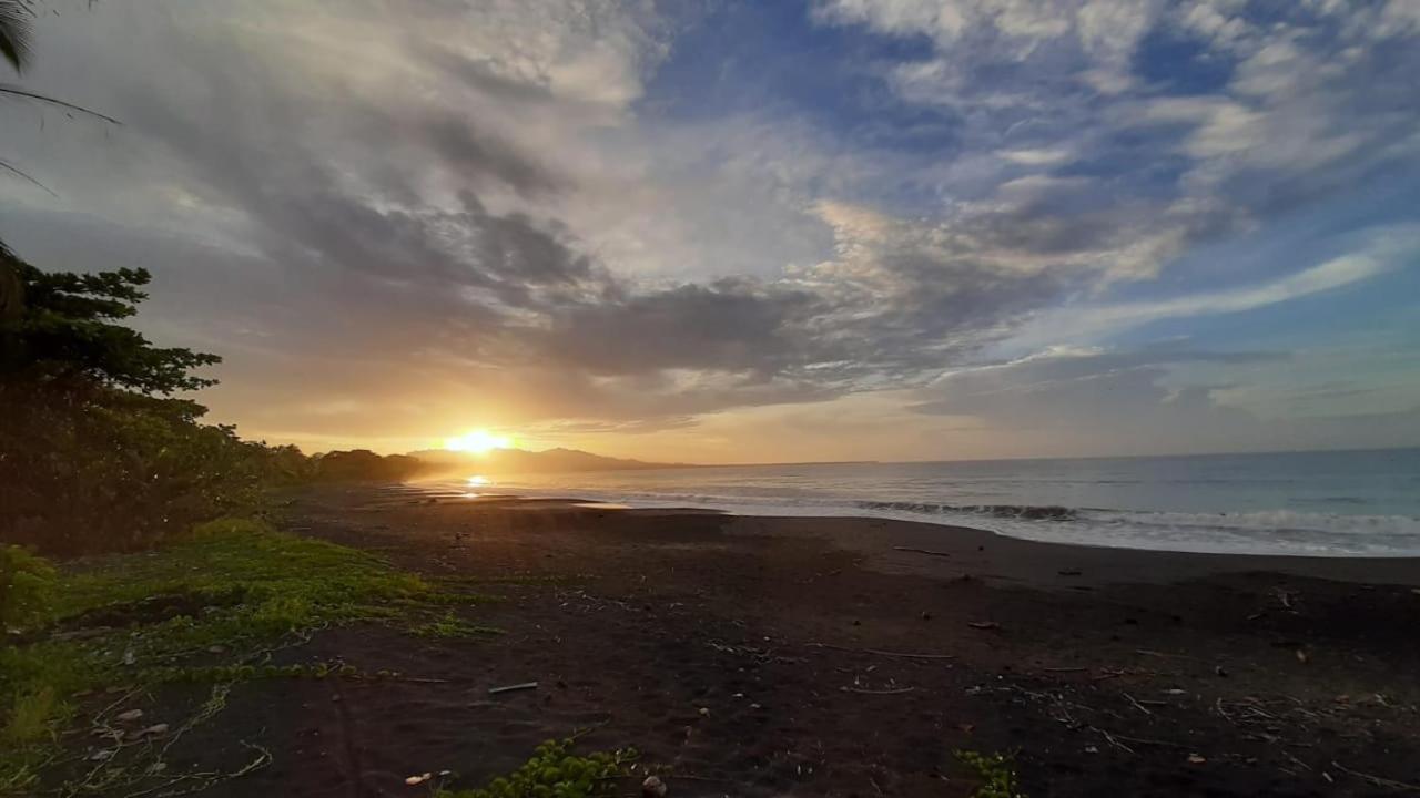 Hotel One Love Puerto Viejo Puerto Viejo de Talamanca エクステリア 写真