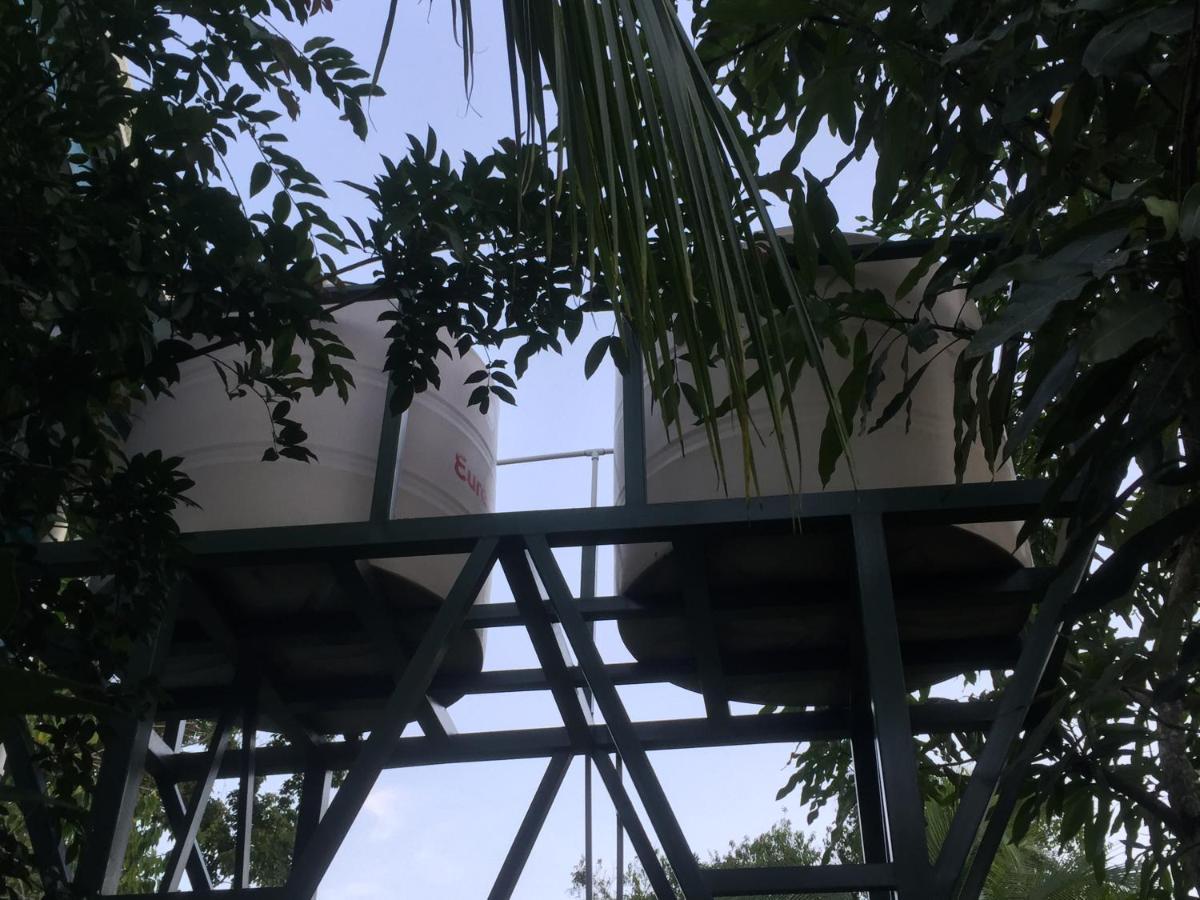 Hotel One Love Puerto Viejo Puerto Viejo de Talamanca エクステリア 写真