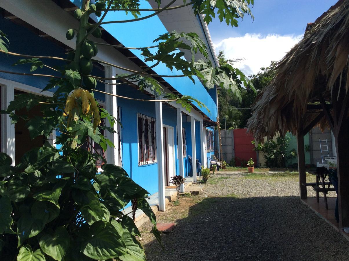 Hotel One Love Puerto Viejo Puerto Viejo de Talamanca エクステリア 写真
